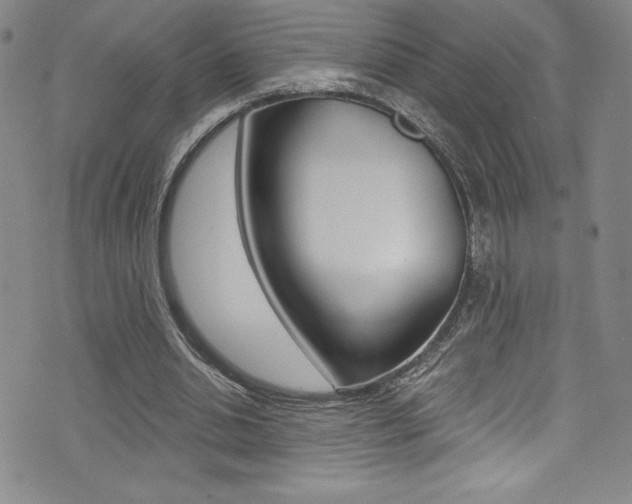 X0000072950438200607210936