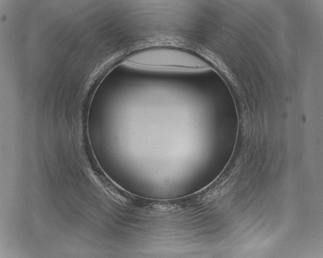 X0000072950442200607210936