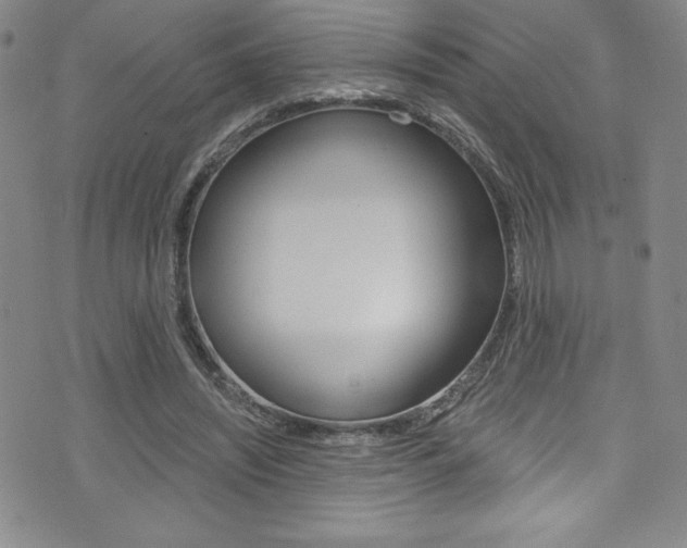 X0000072950444200607210936
