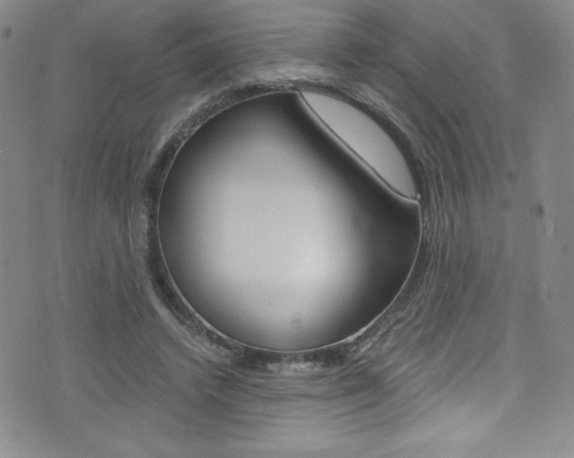X0000072950448200607210936