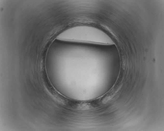 X0000072950451200607210936