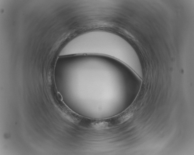 X0000072950452200607210936