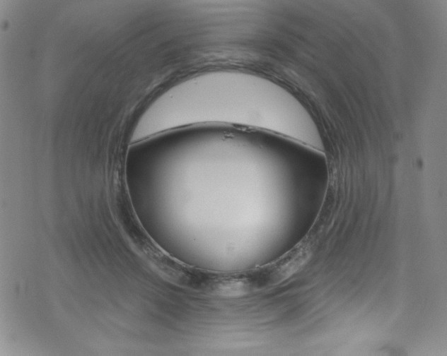 X0000072950456200607210936