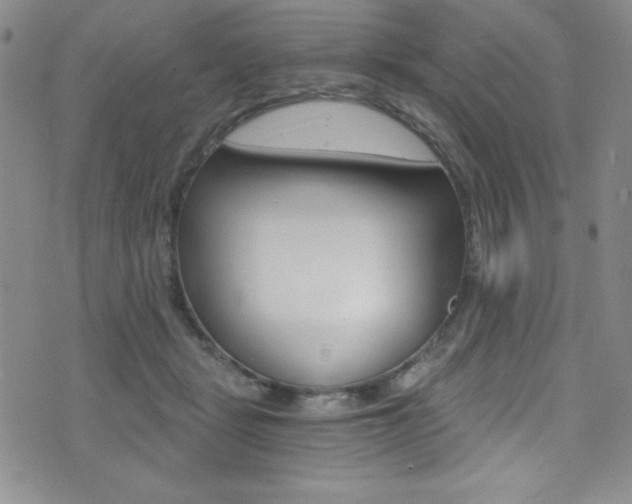 X0000072950461200607210936