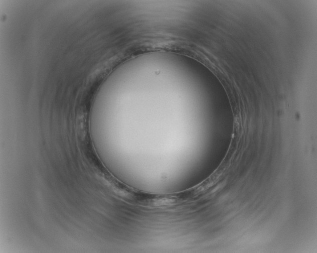 X0000072950462200607210936