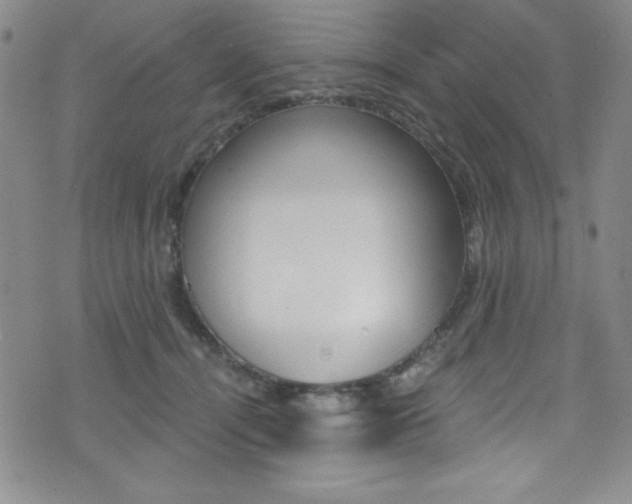 X0000072950464200607210936