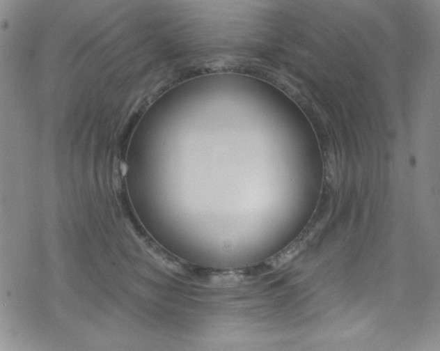 X0000072950470200607210936