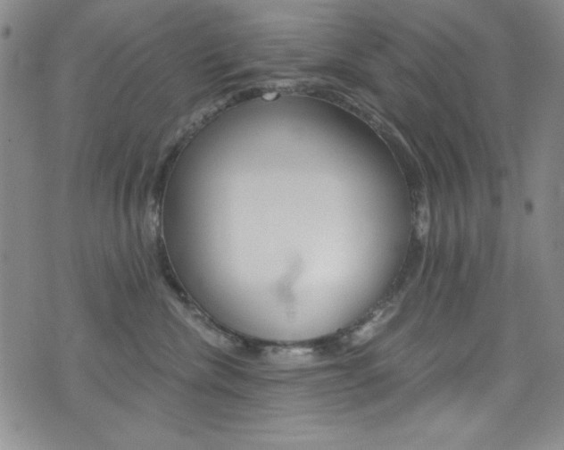 X0000072950476200607210937