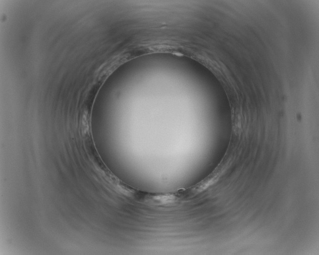 X0000072950478200607210937