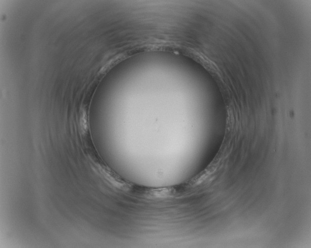 X0000072950479200607210937