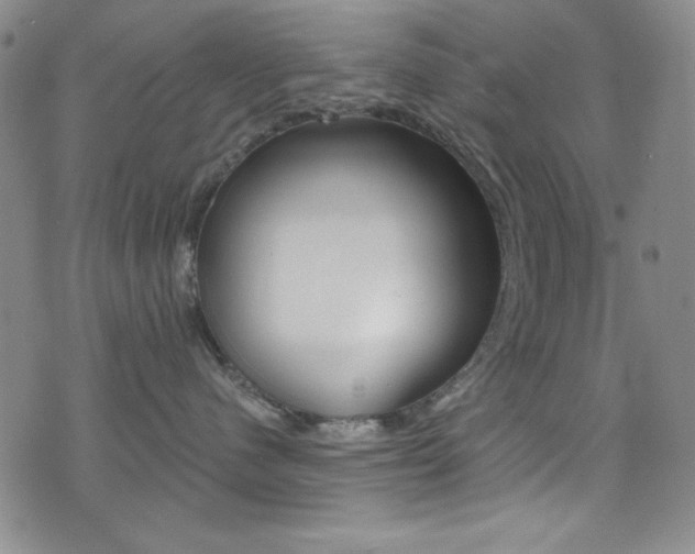 X0000072950480200607210937