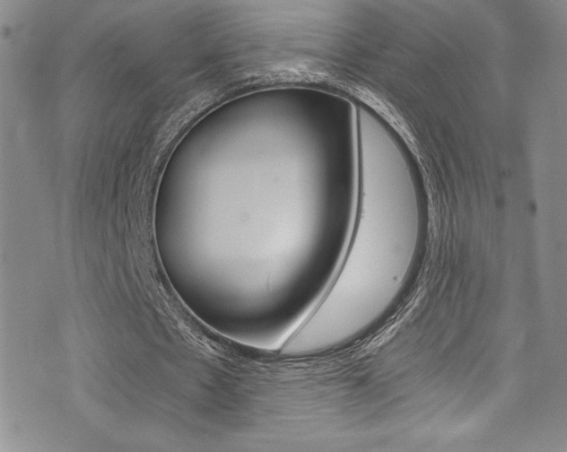 X0000072950481200607210936
