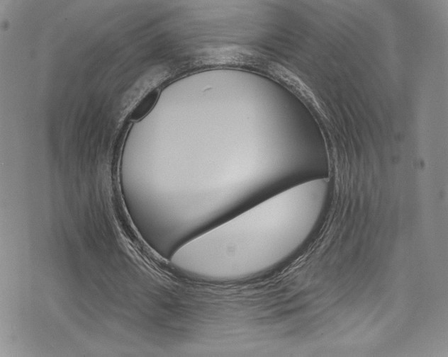 X0000072950482200607210936