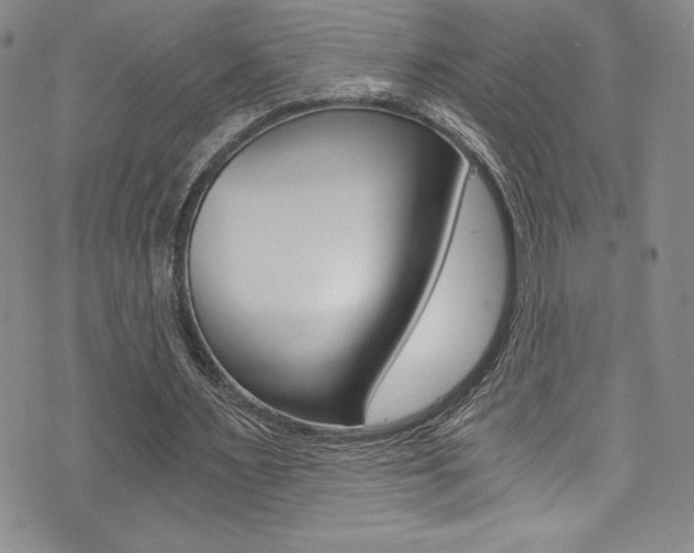 X0000072950483200607210936