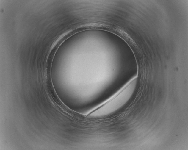 X0000072950484200607210936