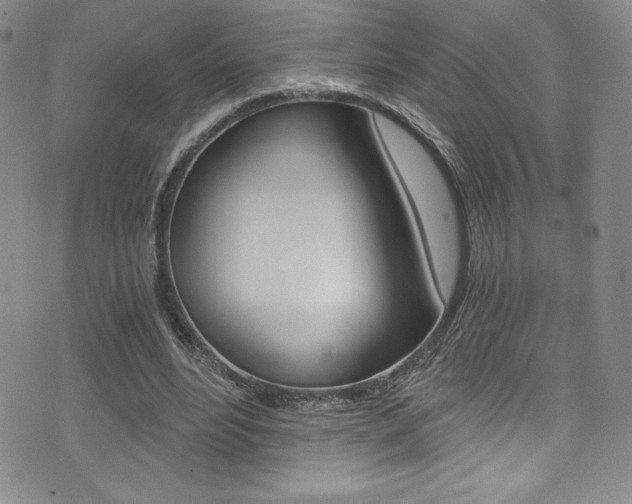 X0000072950488200607210936