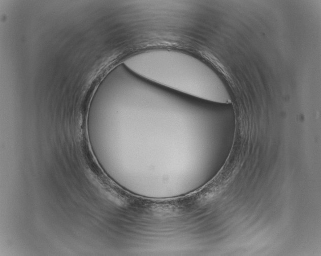 X0000072950490200607210936
