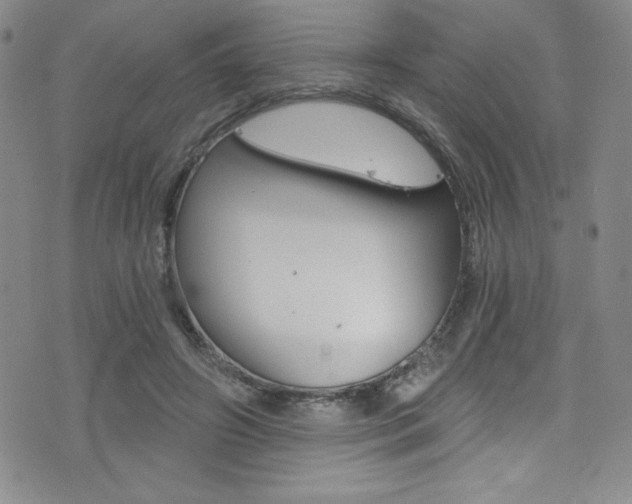 X0000072950498200607210936