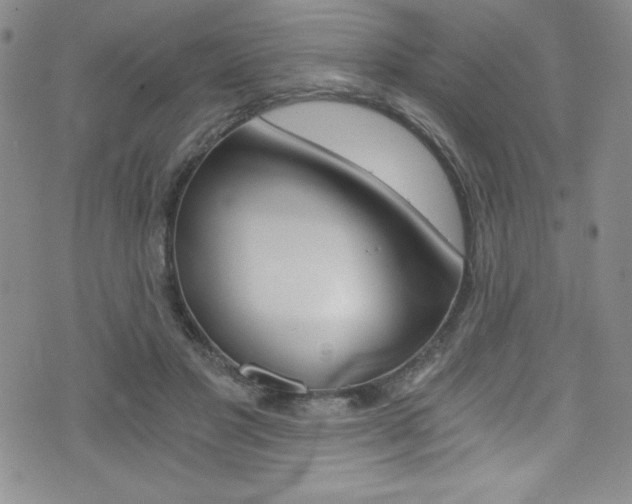 X0000072950501200607210935