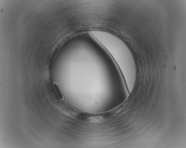 X0000072950508200607210935