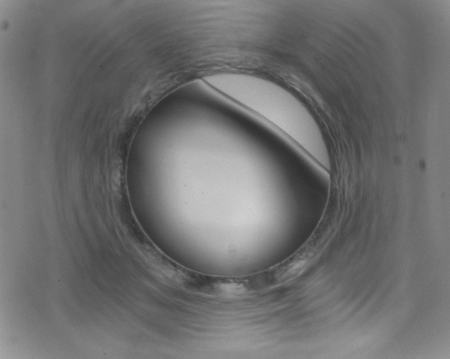 X0000072950509200607210935
