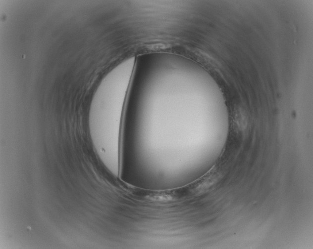 X0000072950512200607210935
