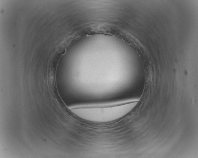 X0000072950513200607210935