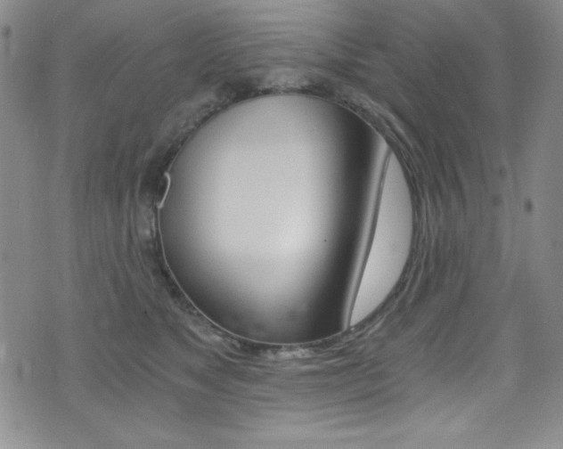 X0000072950517200607210935