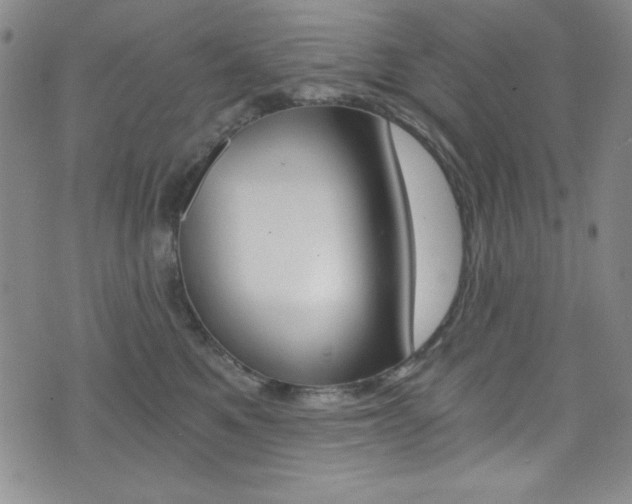X0000072950521200607210935
