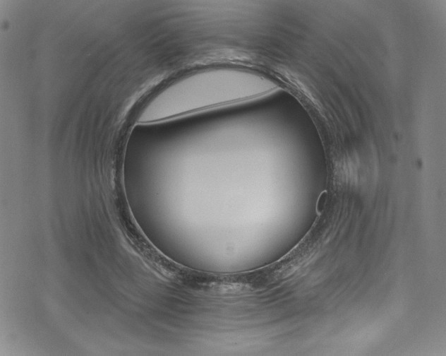 X0000072950539200607210934