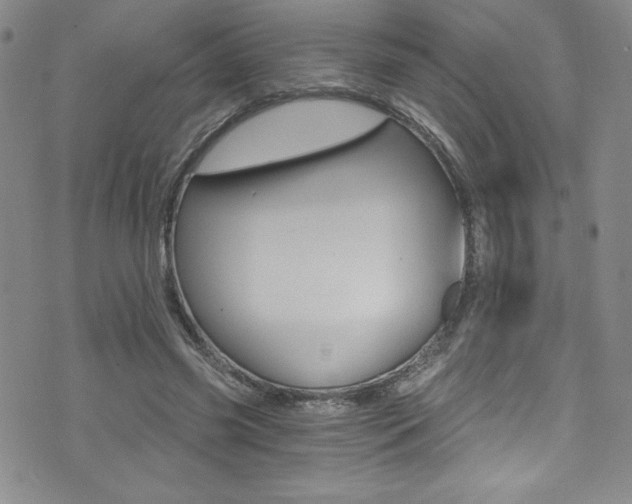 X0000072950541200607210934