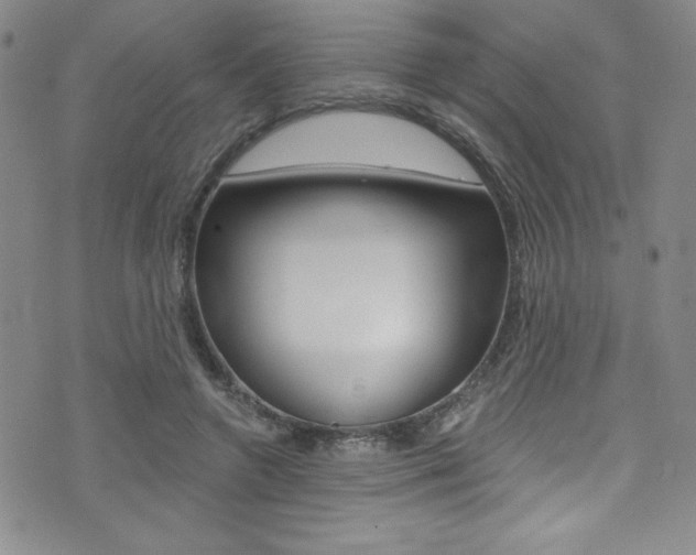 X0000072950546200607210935