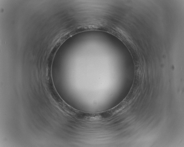 X0000072950548200607210935