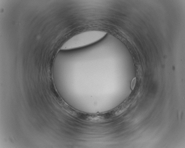 X0000072950557200607210935