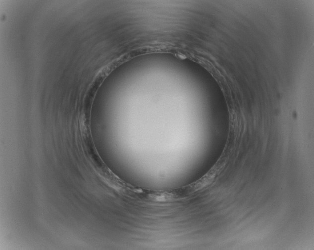 X0000072950564200607210935