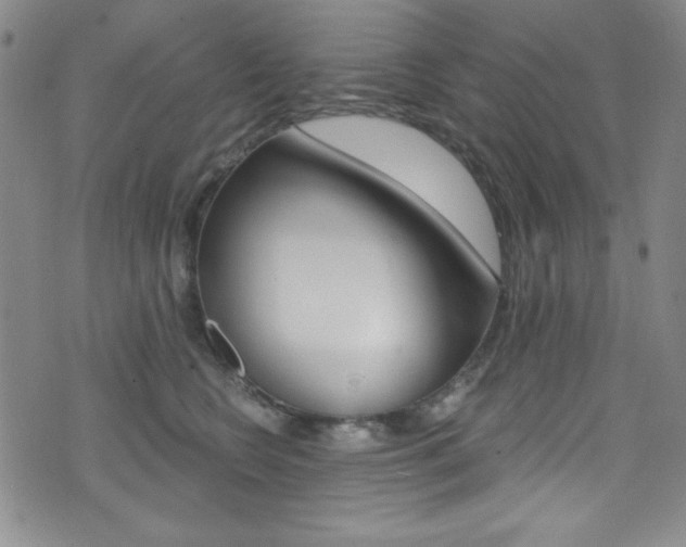 X0000072950566200607210935