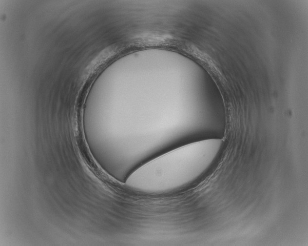X0000072950582200607210934