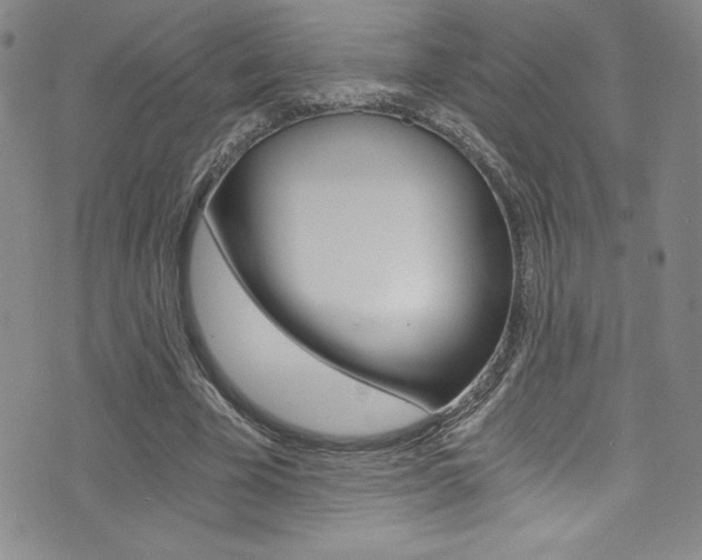 X0000072950585200607210934