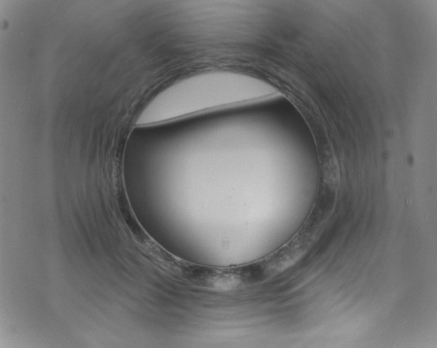X0000072950604200607210934