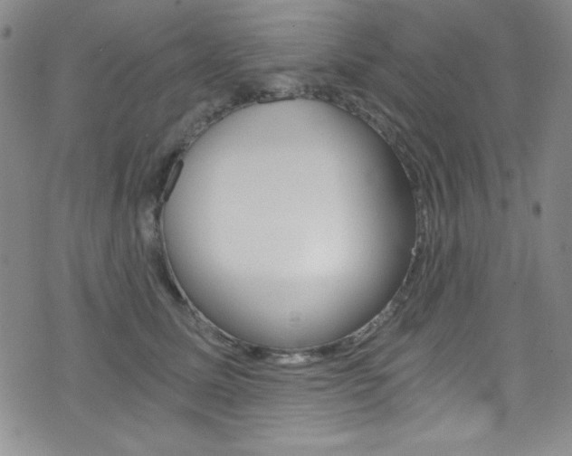X0000072950611200607210934