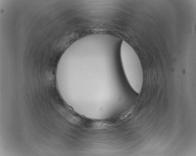 X0000072950614200607210934