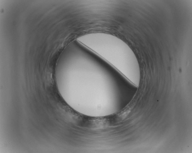 X0000072950615200607210934