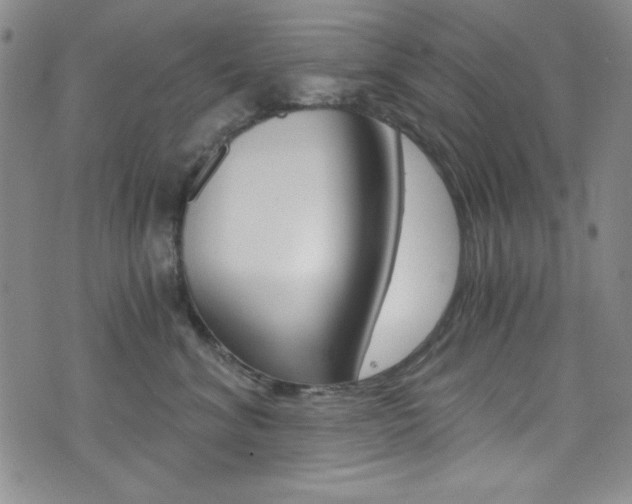 X0000072950620200607210934