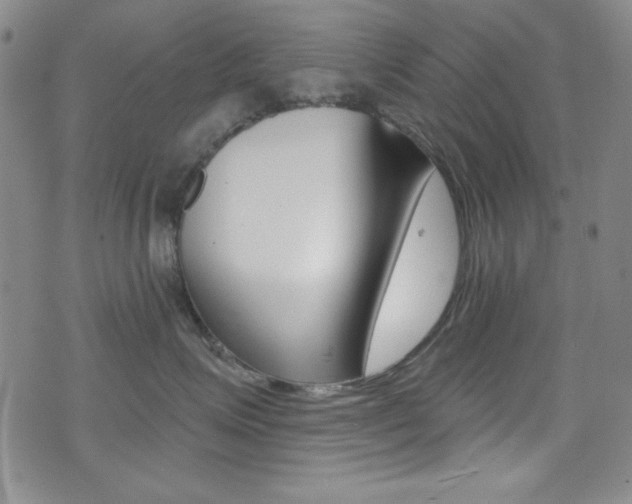 X0000072950623200607210934