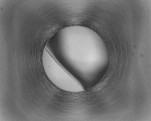 X0000072950624200607210933