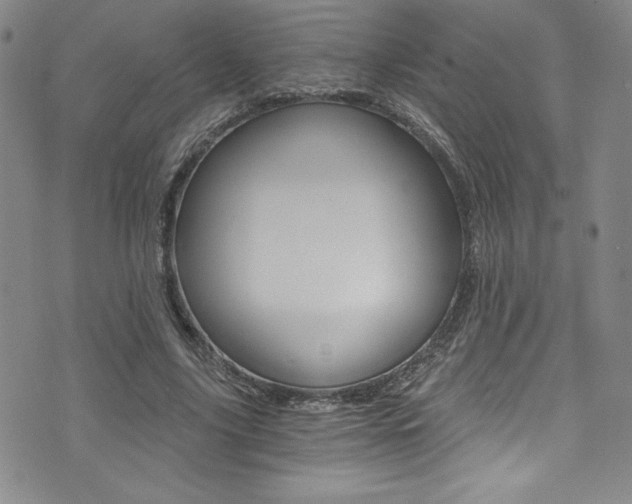 X0000072950635200607210933