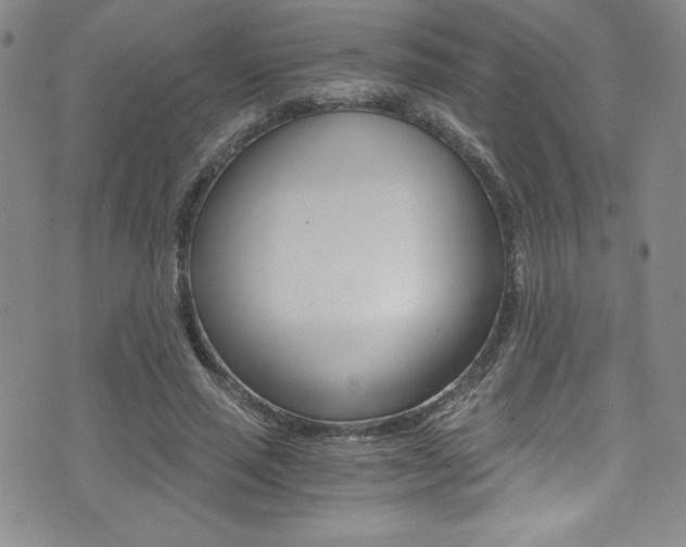 X0000072950637200607210933