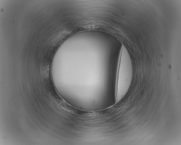 X0000072950652200607210933