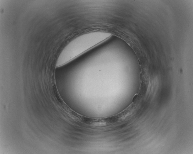 X0000072950653200607210933