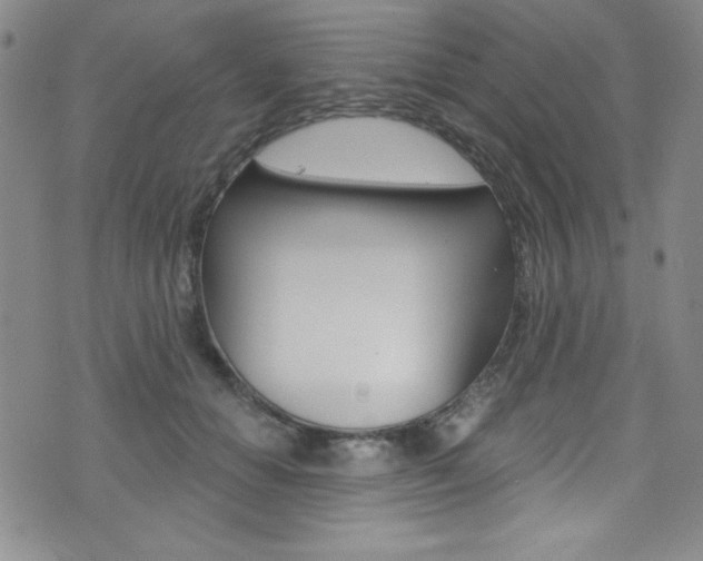 X0000072950654200607210933